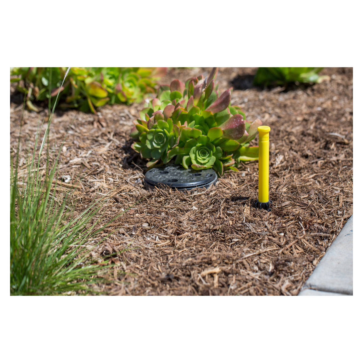 Hunter Drip Eco-Indicator - System Operation Indicator