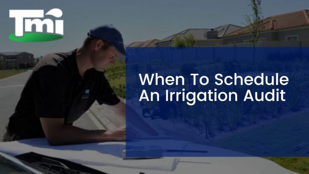 When To Schedule An Irrigation Audit