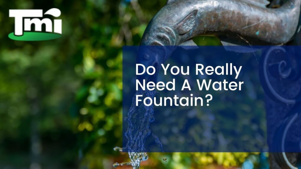 Do You Really Need A Water Fountain?