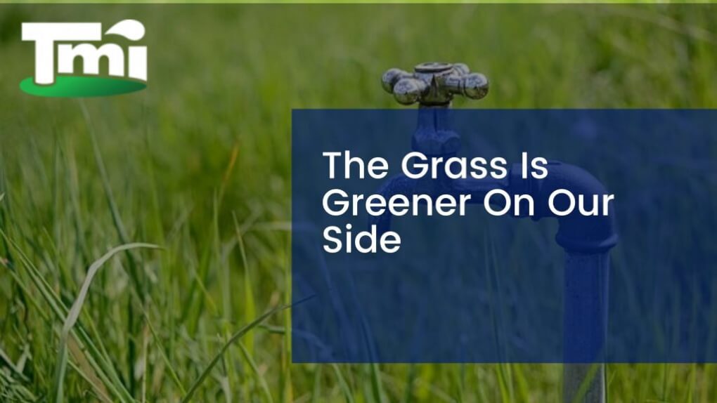 The Grass Is Greener On Our Side