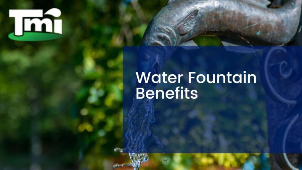 Water Fountain Benefits