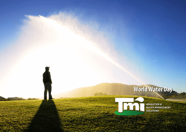 Luxury Without Waste: How Smart Irrigation is Changing the Game This World Water Day