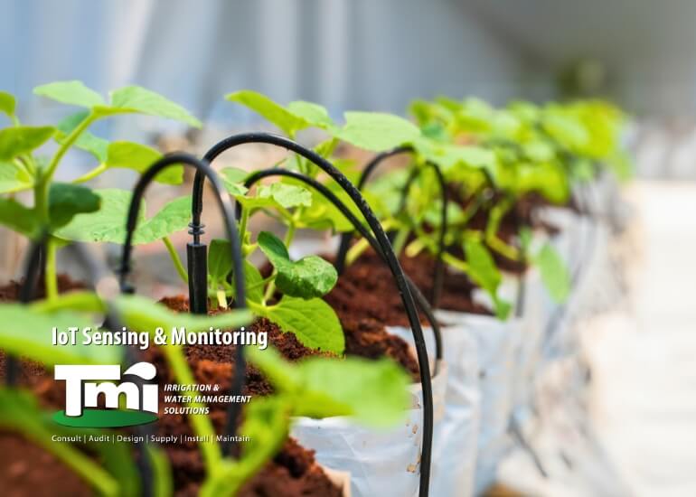 How IoT Sensing & Monitoring Transforms Water Management