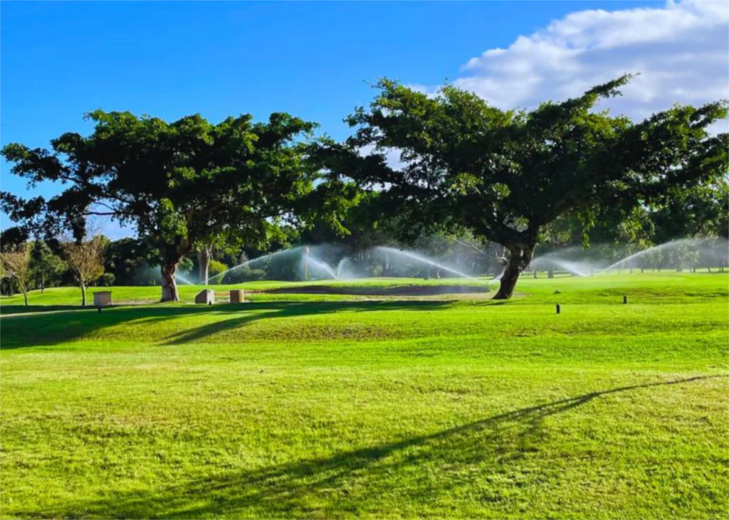 Smart Irrigation in the Western Cape: Facing the Summer Head-On by keeping Your Irrigation Maintenance up to date